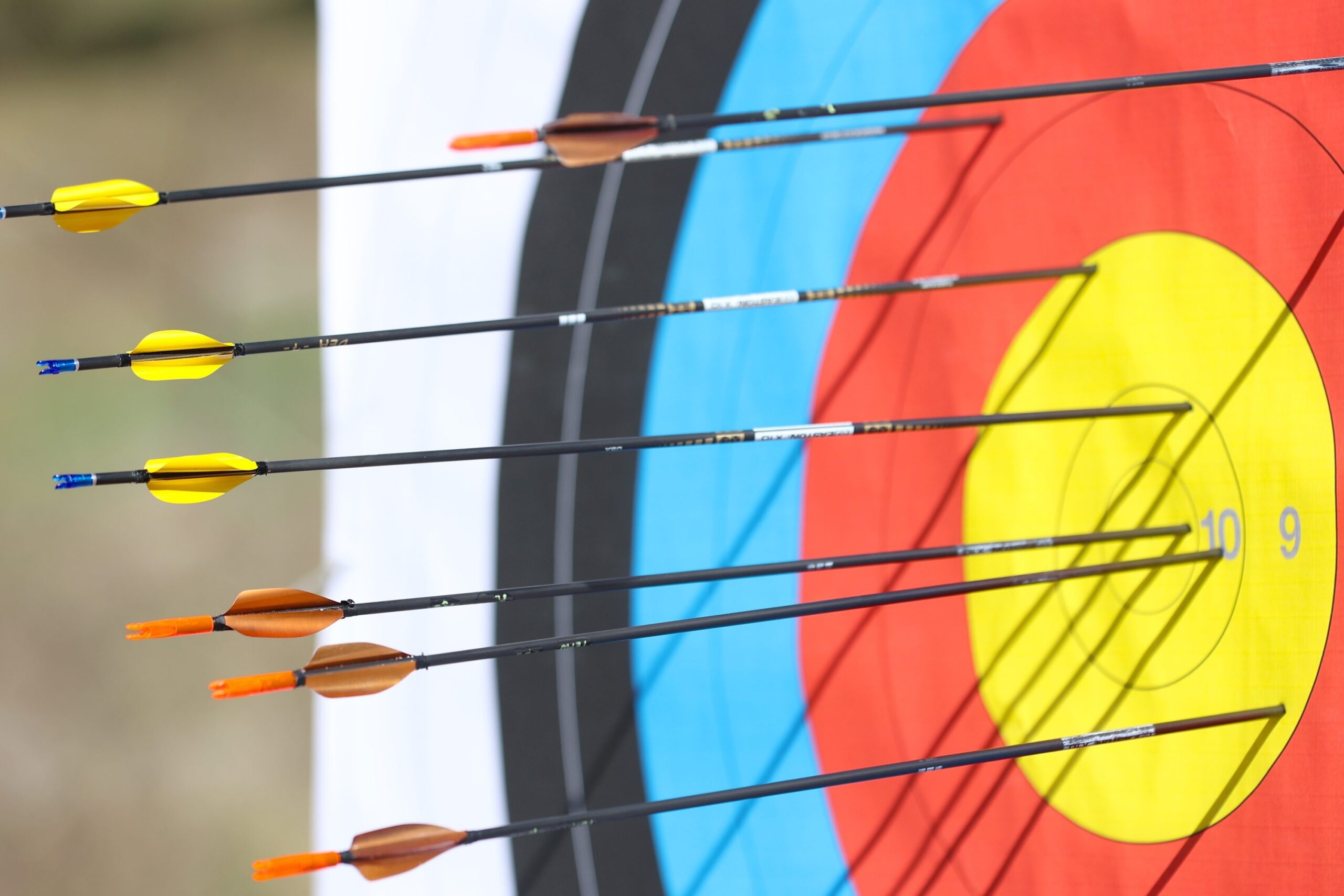 Archery target closeup